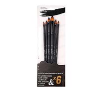shenruifa Set di 6 pennelli acrilici in morbido nylon multiuso, pennelli professionali per acquerello, per studenti, artisti (lingua di gatto)