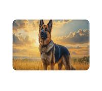 Shepherd German On The Prairie Tappeti Da Bagno Asciugatura Rapida Tappeto Entrata Confortevole Zerbino Asciugapassi Per Interno Corridoio Doccia 40X60Cm