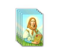Shepherd's Grace Biglietti di preghiera di Santa Dinfna - Carte sacre cattoliche laminate, confezione da 5 - Patrono della forza mentale ed emotiva - Carte devozionali durevoli in formato portafoglio