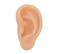 SHERCHPRY 1 Pezzo Di Simulazione Di Orecchio Sinistro in Silicone Realistico Per Insegnamento e Dimostrazione Portatile e Facile Da Usare Utile Strumento Di Visualizzazione Per Consulenti Au