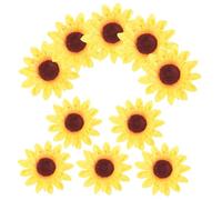 SHERCHPRY 10 Pezzi Fermagli per Girasole Clip Decorative per Acconciature Accessori Eleganti e Leggeri per Donne e Ragazze per Occasione