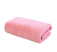 SHERCHPRY 5pezzi Asciugamano Struccante per Viso in Microfibra Salvietta Asciugamano Panno per Viso di Materiale Resistente Assorbente Facile da Trasportare Lavabile in Lavatrice