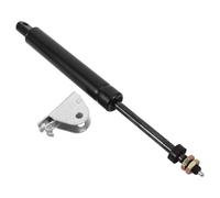 SHERCHPRY Asta Idraulica di Ricambio per Sedia da Barbiere Cilindro a Gas Resistente, Regolazione Angolo Schienale per Poltrona da Ufficio e Salone, Accessorio per Riparazione Sedie