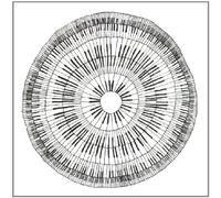 SHERIFF, JAMIL OCTET - JAMIL SHERIFF OCTET