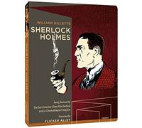 Sherlock Holmes (2 Blu-Ray) [Edizione: Stati Uniti]