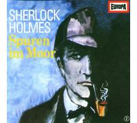 Sherlock Holmes 2 - Spuren im Moor