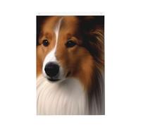 Shetland Sheepdog Welcome Garden Flag 0,6 x 0,9 m Double Sided No Fade House Yard Bandiere Photo Sfondo Festa Banner Per Cortile Portico Prato Decorazione Esterna