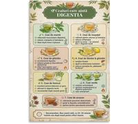 SHFTQXSLAT Digestive Herbal Tea Guide Poster Digestion Gut Health Support Canvas Wall-Art for Bedroom Living Room Decor(Framed,16x24inch(40x60cm))