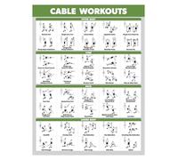 SHFTQXSLAT Dual Power Cable and Dumbbell Workout Poster Set - 2 Pack Laminated Exercise Charts for Versatile Home and Gym Fitness Routines(Framed,16x24inch(40x60cm))