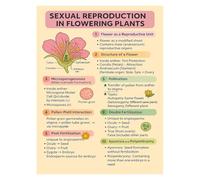 SHFTQXSLAT Sexual Reproduction in Flowering Plants Poster, Botany Biology Educational Chart for Students, Science Classroom & Laboratory Wall Art(Framed,08x12inch(20x30cm))