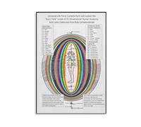SHFTQXSLAT The Integrated Body Canvas: Anatomy, Chakras & Aura Fields. A Comprehensive Educational Chart for Energy Work, Holistic Therapy, Yoga Practice & Study.(Unframed,12x18inch(30x45cm))