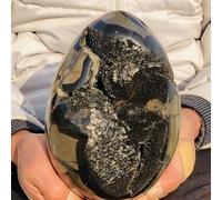 SHFTQXSLAT Turtle Back Stone Egg Shape Dragon Crystal Crack SpecimenHome Office Hallway Decoration Gift Home Decor(410-500g)