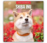 Shiba Inu 2026 Square Wall Calendar