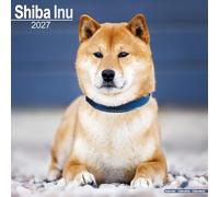 Shiba Inu 2027 Calendar | Square Wall Calendar | Dog Breed Gift | Plastic Free Packaging | by Avonside Publishing