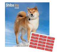 Shiba Inu Calendar 2026 | Calendario da parete quadrato di razza di cane | 16 mesi | con adesivi organizzativi