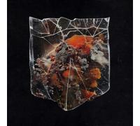 Shields Death & Connection (Vinyl LP) 12" Album Coloured Vinyl