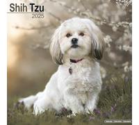 Shih Tzu 2025 Square Wall Calendar | Dog Breed Calendar