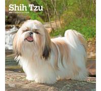 Shih Tzu 2027 - 16-Monatskalender: Original BrownTrout-Kalender [Mehrsprachig] [Kalender]