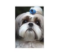Shih Tzu - Bandiera per cani, 9 x 1,5 m, doppia faccia vibrante bandiere da giardino banner di benvenuto stagionale con occhielli in ottone decorazione sfondo fotografico per cortile portico prato