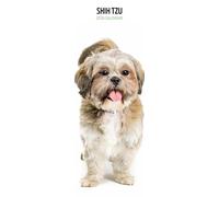 Shih Tzu Calendario 2026 Slim