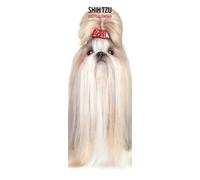 Shih Tzu Calendario 2027 Slim