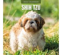 Shih Tzu - Calendario da parete quadrato 2026 Red Robin Publishing