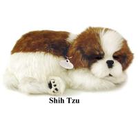 SHIH TZU- Il cucciolo che respira - PERFECT PETZZZ