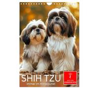 Shih Tzu - sempre al centro (calendario da parete 2025 DIN A4 alto), calendario mensile Calvendo