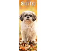 Shih Tzu Slim 2026 Calendar | Slimline Wall Calendar | Dog Breed Gift | Plastic Free Packaging | by Avonside Publishing