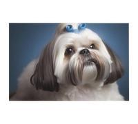 Shih Tzu - Tappeto per zona cane, morbido, in velluto, lavabile, per soggiorno, moderno, antiscivolo, grande, per camera da letto, cucina, sala da pranzo