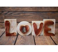 Shih Tzu tipo 2 - iscrizione in legno 'LOVE' Art Dog IT