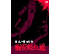 Shikakenin Fujieda Baian V.6: TV Program