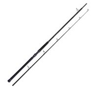 Shimano Beastmaster AX Catfish 220 cm, 120 g, 2 pezzi