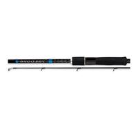 SHIMANO BASSTERRA SEA BASS SPINNING - SEZIONI: 2, LUNGHEZZA: 2.44 MT, N. ANELLI: 8, PESO (GR): 134, AZIONE: 6-28 GR, INGOMBRO (CM): 125