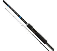 SHIMANO BASSTERRA SEA BASS SPINNING - SEZIONI: 2, LUNGHEZZA: 2.74 MT, N. ANELLI: 8, INGOMBRO (CM): 139, PESO (GR): 145, AZIONE: 7-30 GR