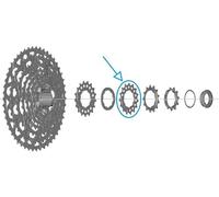 SHIMANO CS-LG700 - Pignone a 15 denti