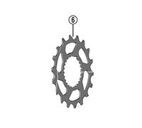 SHIMANO CS-M8100, Pignone Unisex Adulto, Standard, Taglia Unica