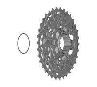 SHIMANO CS-R8101 Pignone Silver/Black One Size