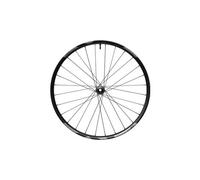 Shimano deore xt wh m8200 29 ruota anteriore boost 15x110 mm center lock