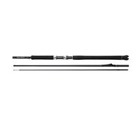 Shimano Fishing Beastmaster Cx Innerguide 2 Sections 2.40 m