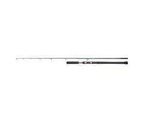 SHIMANO FORCEMASTER AX CATFISH - SEZIONI: 2, INGOMBRO (CM): 155, PESO (GR): 425, AZIONE: 400 GR, ACTION TYPE: MODERATE-FAST, LUNGHEZZA: 3,00 MT