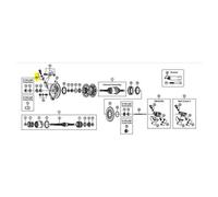 Shimano Kit Di Bulloni Nexus Im41 Black