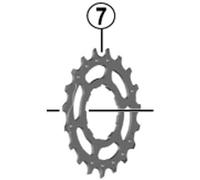 SHIMANO Pignone 19 Denti CS di M8000