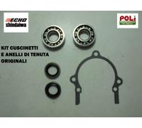 SHINDAIWA ECHO KIT PARAOLIO CUSCINETTO GUARNIZIONE 251 TCS 251 TS CS-2511 TES/C