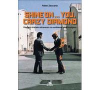 Shine on... you, crazy diamond. Viaggio virtuale attraverso un emblema pinkfloydiano