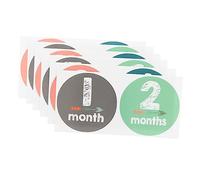 SHINEOFI 12pezzi Adesivi per Tappe Fondamentali per Ragazzo Ragazza Ragazza Adesivi Autoadesivi per Monitorare la Crescita del Ragazzo per Foto Diario e Scrapbooking