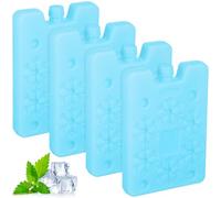 SHINEOFI 4 Pezzi Borsa Ghiaccio Riutilizzabile per Raffreddatore, PE | Scatole Pranzo e Climatizzatori, Congelamento Rapido, Leggero e Sottile, Verde Chiaro Differenza Colore