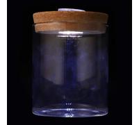 SHINEOFI Mini Fish Tank in Vetro Trasparente con Copertura LED Bottiglia Ecologica Cilindrica per Micro Paesaggi Piante Fiori e Decorazioni Creative per Interni ed Esterni