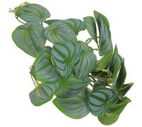 SHINEOFI Pianta Artificiale Decorativa, Verde Plastico Realistico | Acquario e Rettile Box, Effetto Naturale, Sicurezza, Decorazione Scenica, Aspetto Verosimile