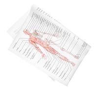 SHINEOFI Poster di Anatomia Umana 50X70 CM su Seta, Diagramma Muscolo Scheletrico Scientifico, Immagine Didattica della Struttura Corporea per Scuole, Laboratori e Studio Medico